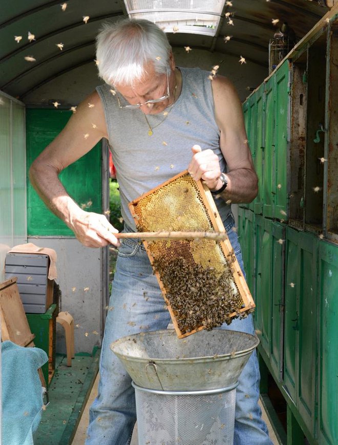 Franc Šivic pri delu v čebelnjaku FOTO: Osebni Arhiv