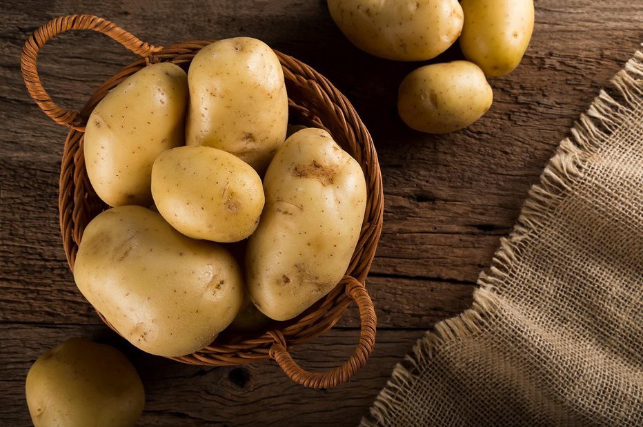 Fotografija: Krompir ima rad hlad, temo in visoko zračno vlažnost. FOTO: Ws-studio, Shutterstock
