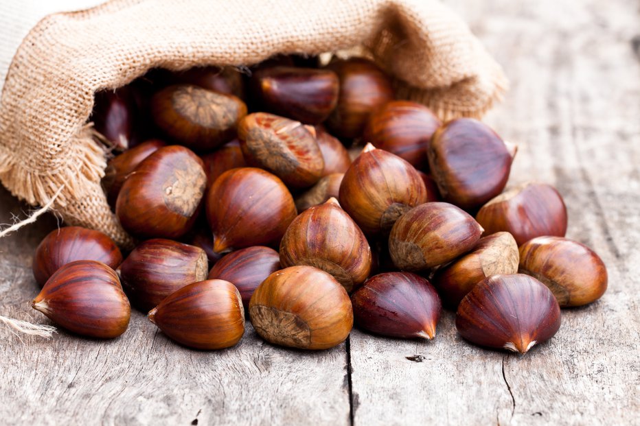 Fotografija: fresh chestnuts in sack bag on the old wooden table
