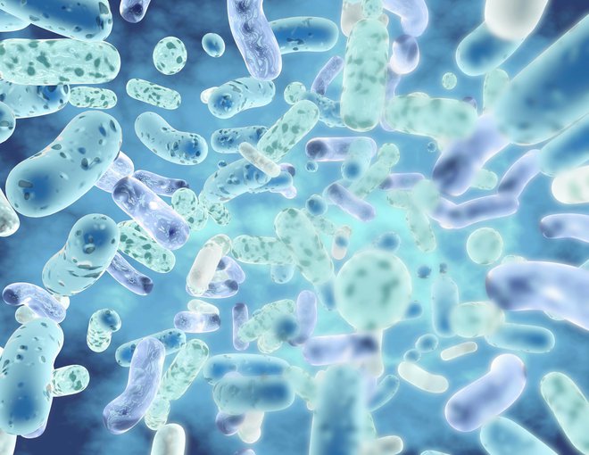 Odpornost bakterij proti antibiotikom je eden od največjih zdravstvenih problemov današnjega časa. FOTO: Image_jungle/Getty Images
