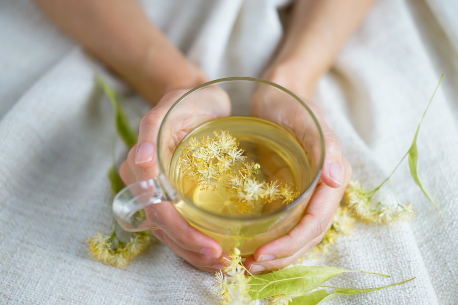Fotografija: A cup of herbal tea (lime blossom/ linden tea) photographed on a cozy beige blanket with herbal flowers in the background.