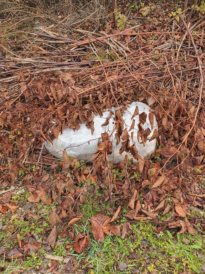 Fotografija: Raztresen kup smeti, na katerega je naletela bralka. FOTO: bralka Marjana
