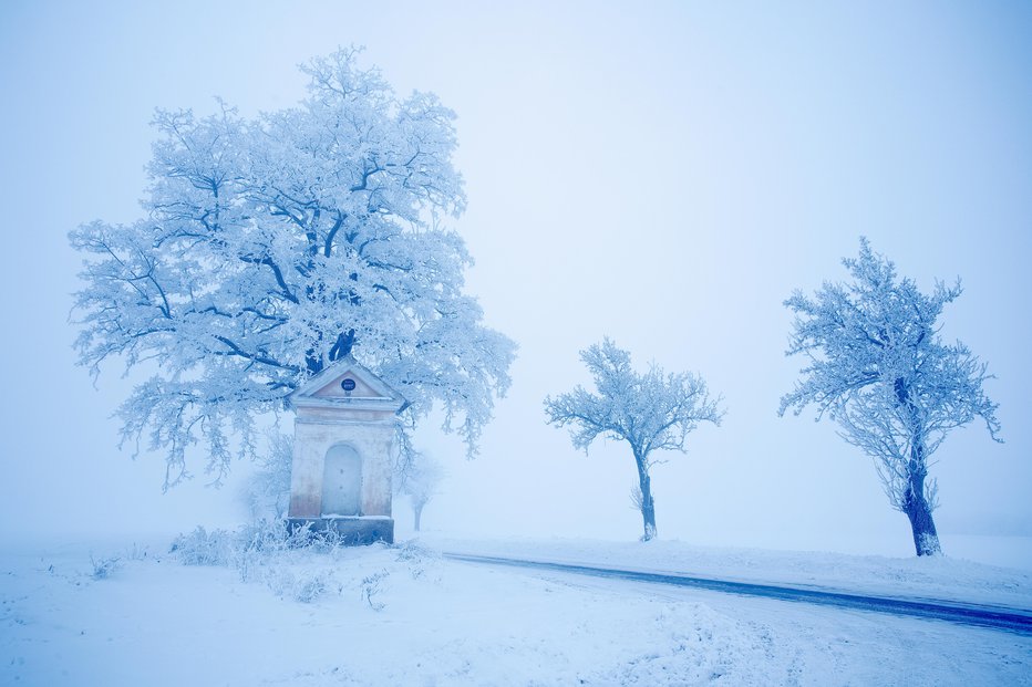 Fotografija: Sneg je pobelil tudi nižine. FOTO: Ondrej Prosicky/Getty Images
