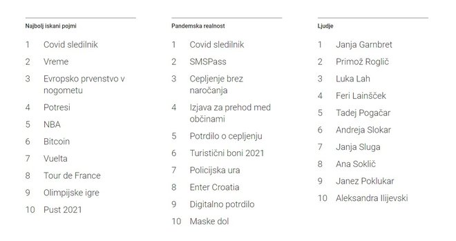 Kaj so Slovenci letos najbolj iskali na spletu. FOTO: Google
