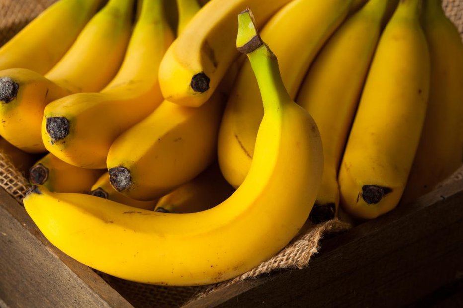Fotografija: Uživanje preveč banan ima lahko škodljive učinke na zdravje, kot so povečanje telesne mase, slab nadzor krvnega sladkorja in pomanjkanje hranil. FOTO: Shuttertock
