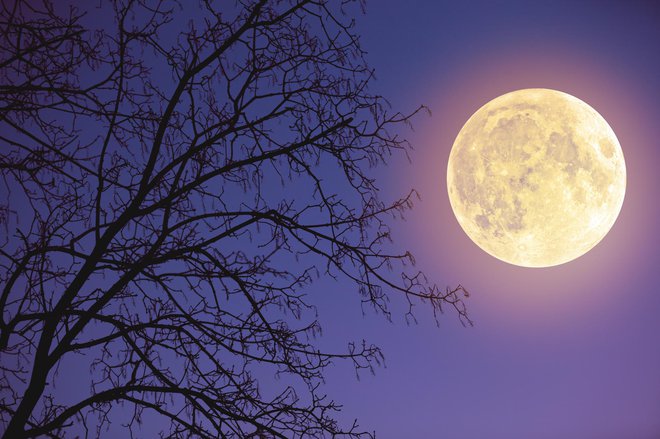Astronomski dogodki v 2022 bodo postregli s tremi superlunami. FOTO: m-gucci, Getty Images
