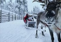 Fotografija: Namesto motorja je Tim na Finskem poganjal jelenčka. FOTO: Instagram
