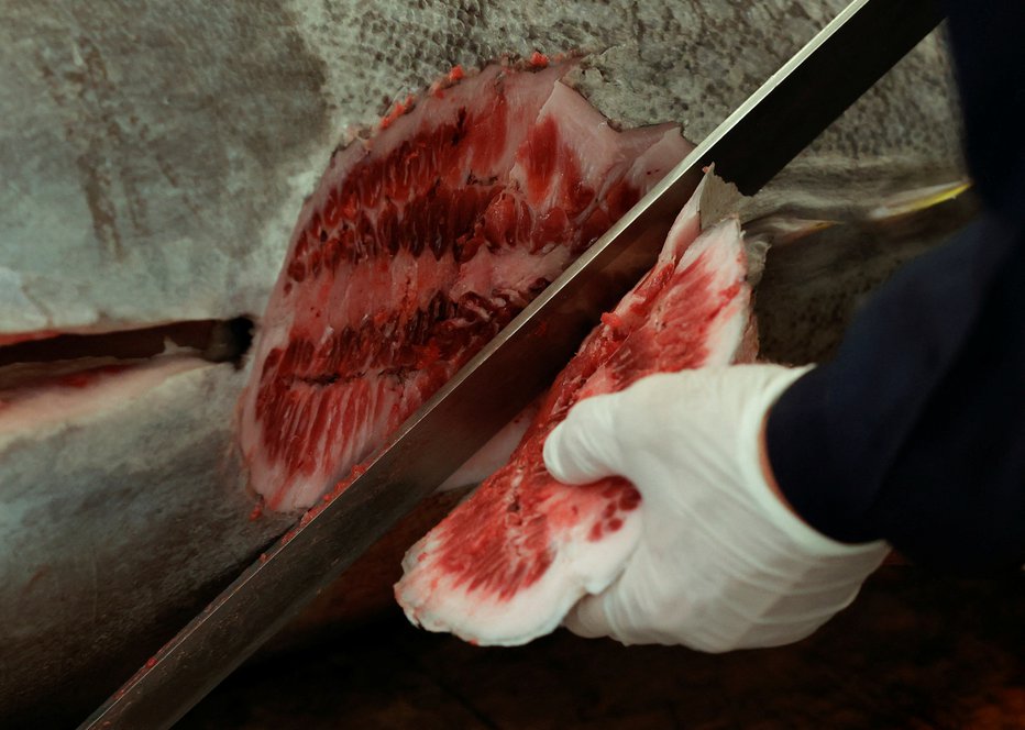 Fotografija: Chef je mojstrsko razrezal slastno meso in povabil ljubitelje tunine.
