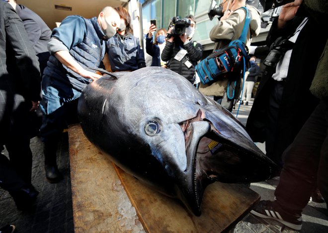 Udeleženci dražbe so se letos potegovali za 211-kilogramskega modroplavutega tuna. FOTOGRAFIJI: Issei Kato/Reuters
