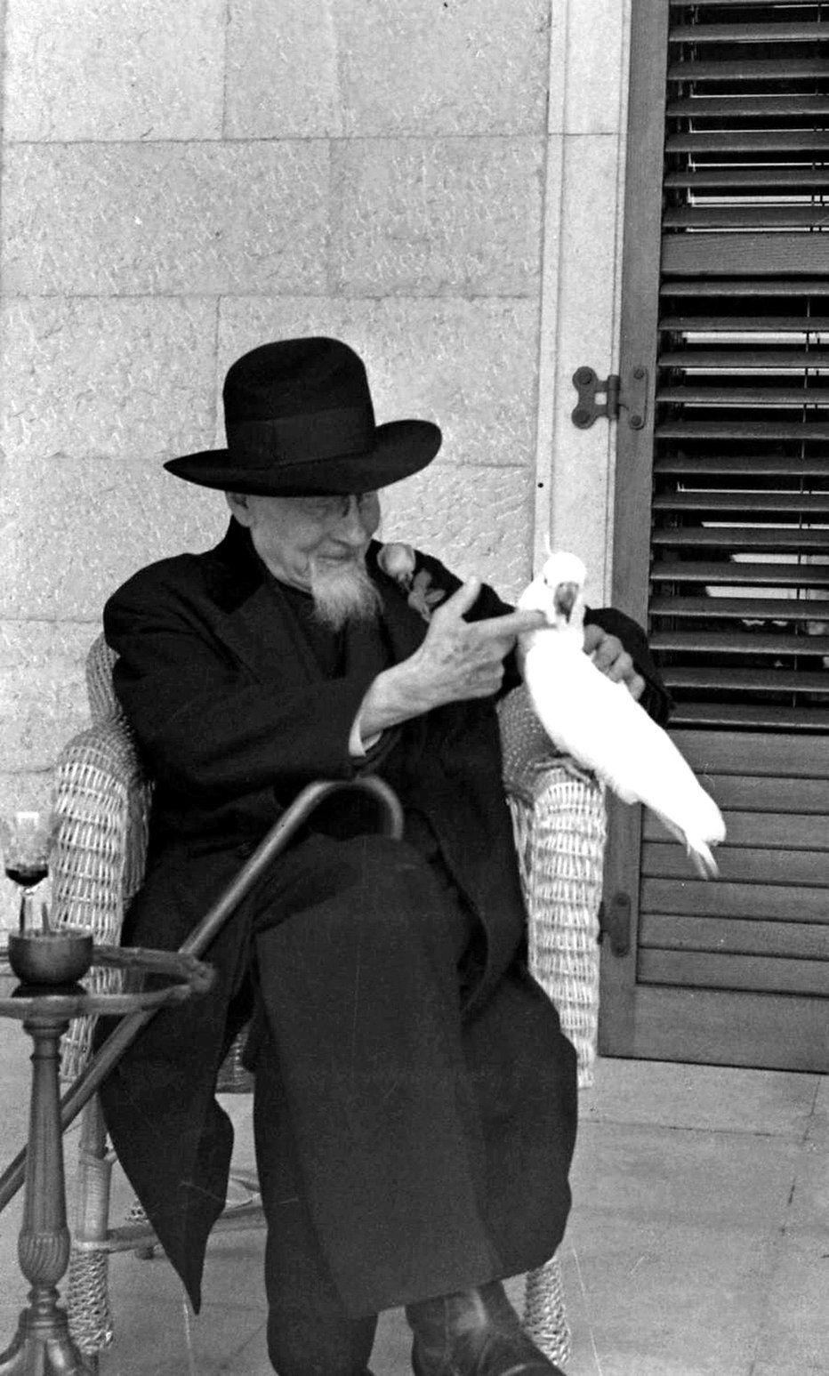 Fotografija: Plečnik s Titovim kakadujem Kokijem na Brionih, 1956 Foto: Lojze Gostiša
