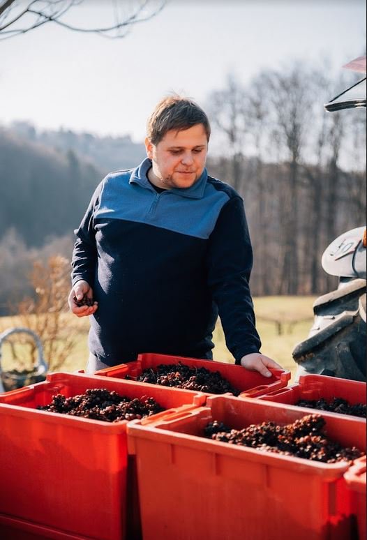 Mladi gospodar in vitez Marko Breznik je vesel, da je grozdje dalo suhi jagodni izbor.
