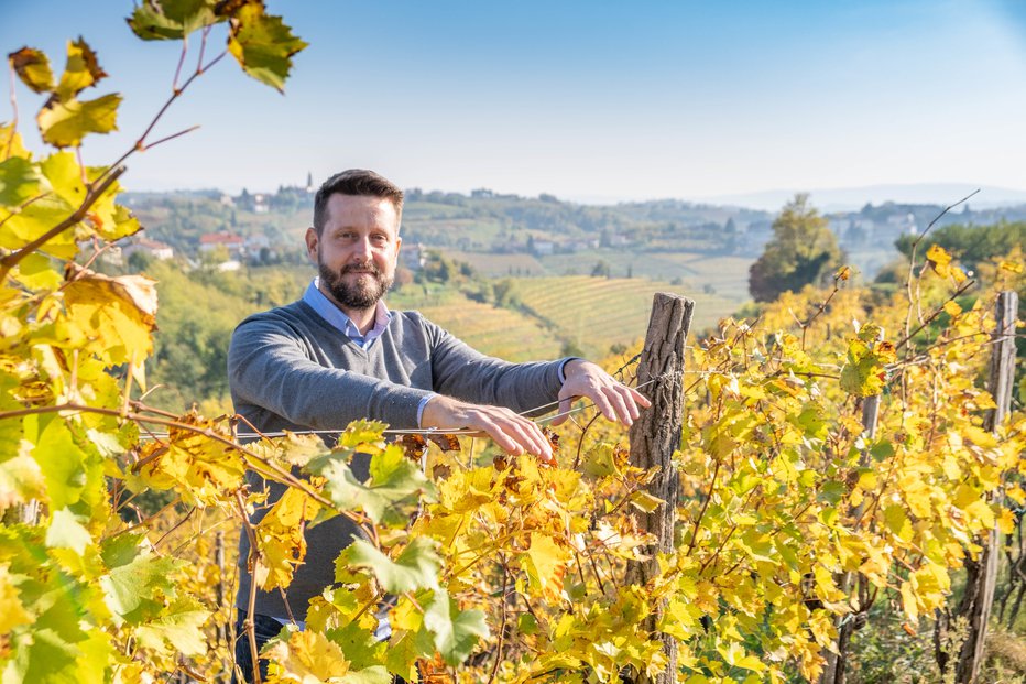 Fotografija: Denis Rusjan je redni profesor za vinogradništvo na Biotehniški fakulteti Univerze v Ljubljani. FOTO: Primorske novice
