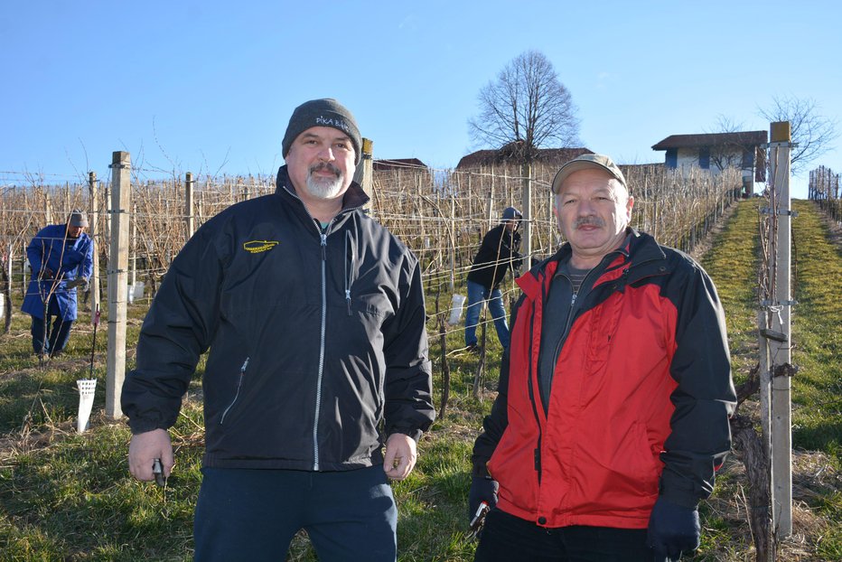 Fotografija: Predsednik domačih vinogradnikov Franc Zorko in tajnik viteškega omizja Zlatko Borak
