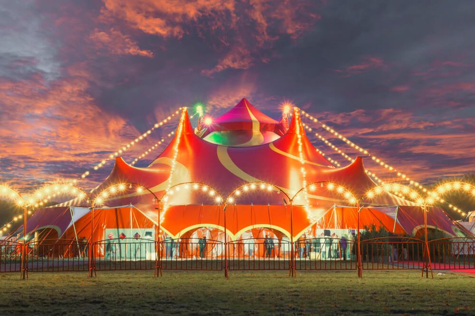 Fotografija: Vse bolj je dogajanje na Šentflorjanskem podobno kakemu cirkusu. Kaj šele bo do usodnega 24. aprila? FOTO: MYNIGHT
