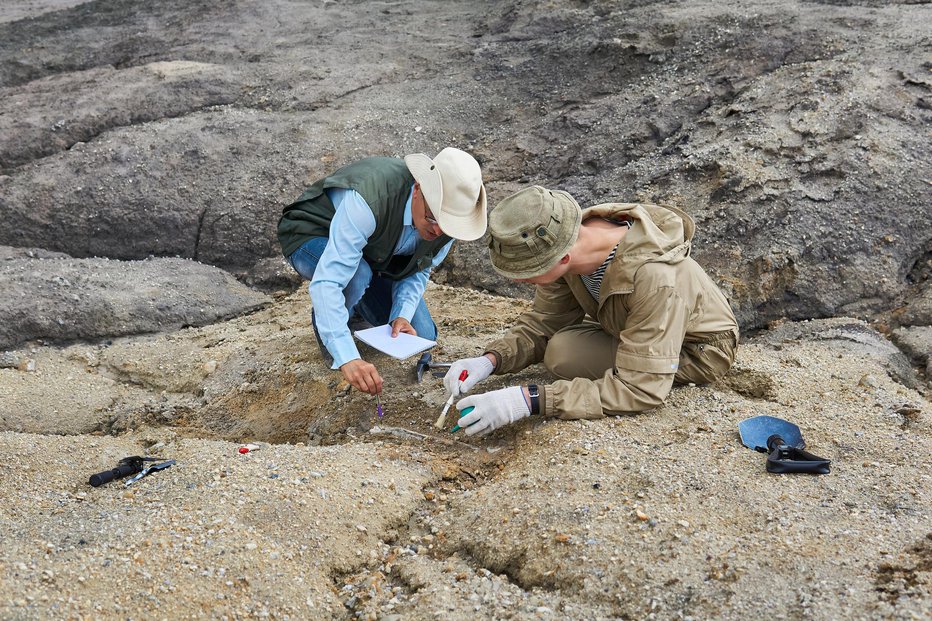Fotografija: V Patagoniji so odkrili fosile že številnih abelizavrov, a nove vrste niso pričakovali. FOTO: Getty Images
