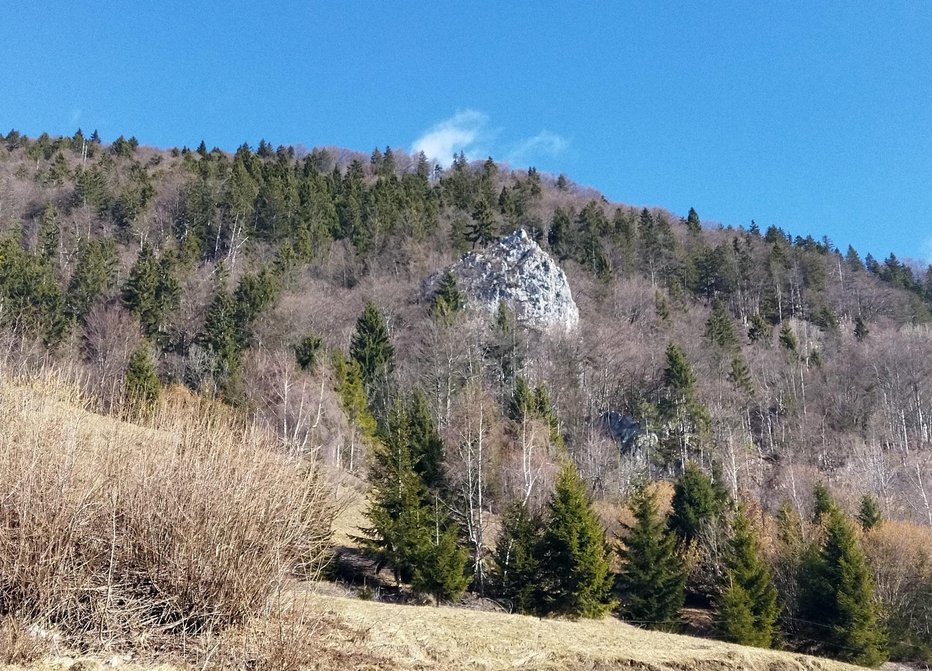 Fotografija: Bičkova skala v pobočju Jelovice
