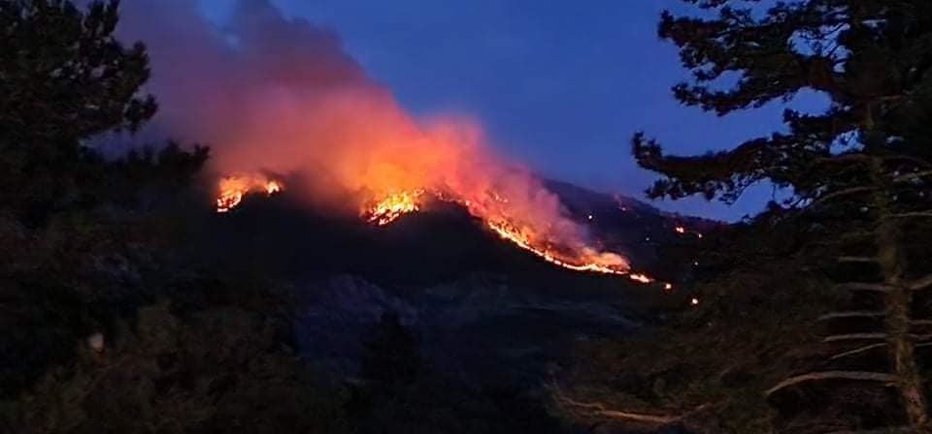Fotografija: Okoli 100 gasilcev se bori s požarom nad cesto Ajdovščina–Col. FOTO: Facebook, PGD Ajdovščina
