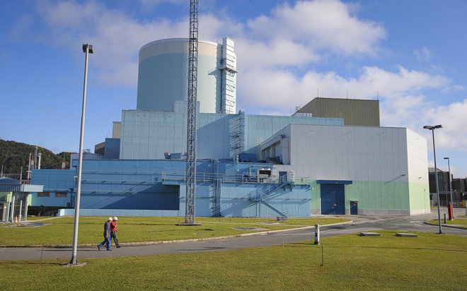Jedrska elektrarna Krško. Foto: Jože Suhadolnik/Delo