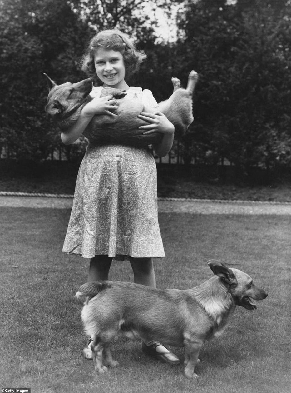 Fotografija: Zelo rada ima pse, še posebno valižanske ovčarje. Prve ji je leta 1933 podaril oče. FOTO: Getty Images
