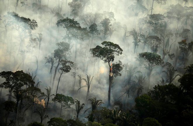 Tako je setembra lani gorelo v Amazoniji. FOTO: Bruno Kelly Reuters