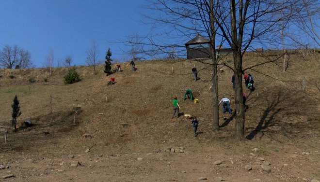 Hrib so posejali z medovitimi rastlinami. FOTO: Lokalec.si
