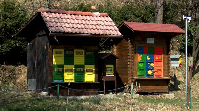 Ob čebelnjaku lovrenškega društva bo spomladi in poleti še bolj brenčalo. FOTO: Lokalec.si
