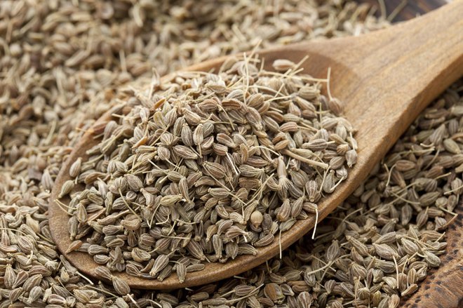 Janeževa semena uporabljamo v kuhinji in zdravilstvu. FOTO: Savany/Getty Images
