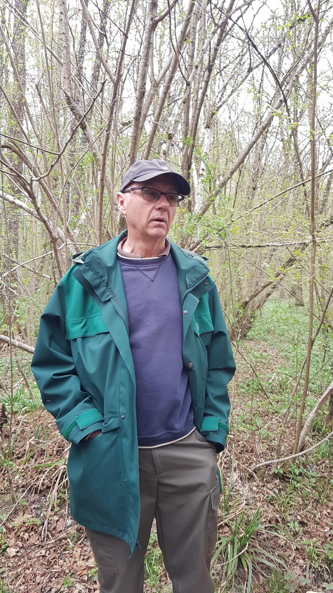 Vodja brežiške območne enote Zavoda za gozdove Boris Bogovič
