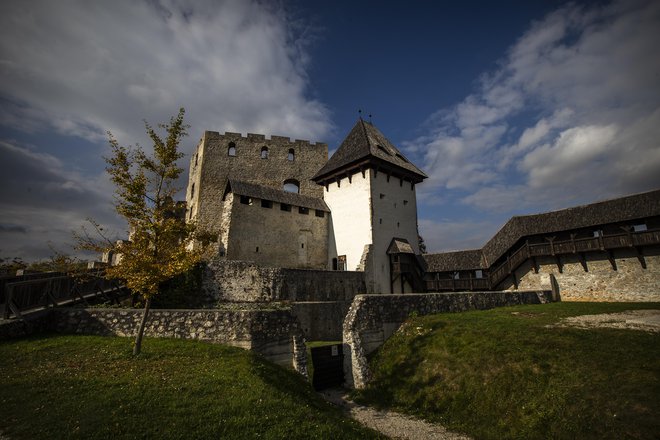 Celjski grad je bil sedež grofov Celjskih. Foto: Voranc Vogel
