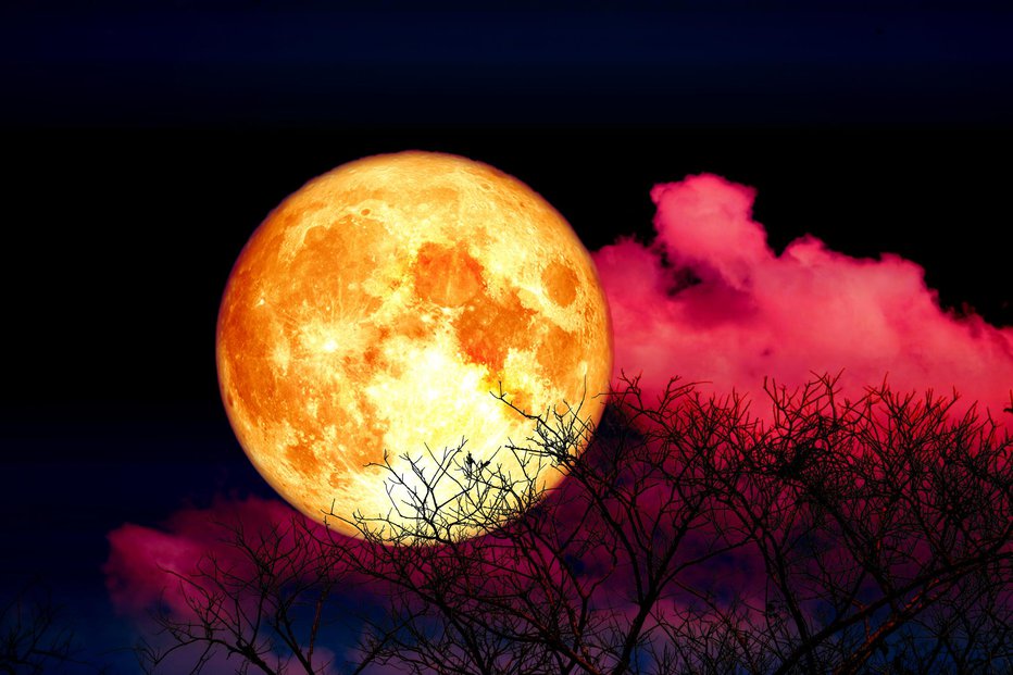 Fotografija: Na nebu bo krvava luna, zavita v mrk. FOTO: Chayanan, Getty Images
