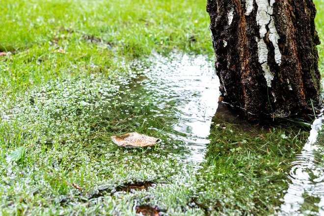 Ob obilnem deževju na ilovnatih tleh zastaja voda. FOTO: Kyryl Gorlov/getty Images
