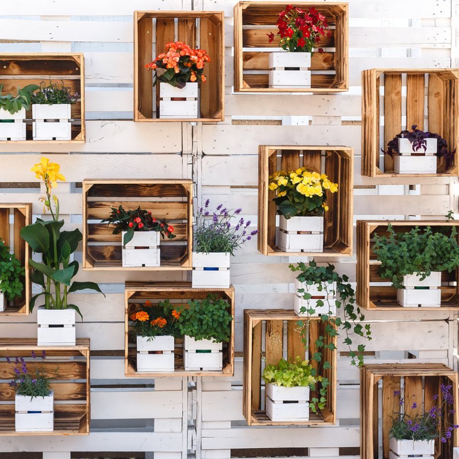 Fotografija: Na steno lahko pritrdite lesene zabojčke, v katere postavite okrasne lončke z različnimi zelenimi rastlinami in sezonskim cvetjem. FOTO: Andrey Gorgots, Shutterstock
