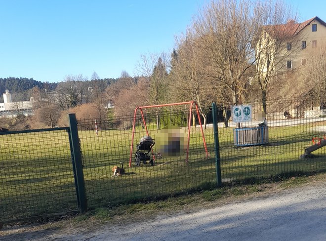 Nekateri svoje pse pustijo na otroškem igrišču brez nadzora. Poskrbite, da po vašem obisku za njimi ne ostanejo iztrebki. FOTO: Bralka poročevalka
