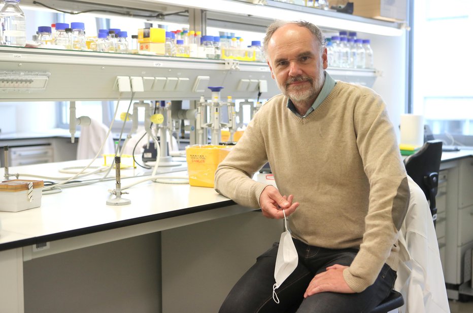 Fotografija: Roman Jerala, vodja Odseka za sintezno biologijo in imunologijo na Kemijskem inštitutu. FOTO: Dejan Javornik, Delo
