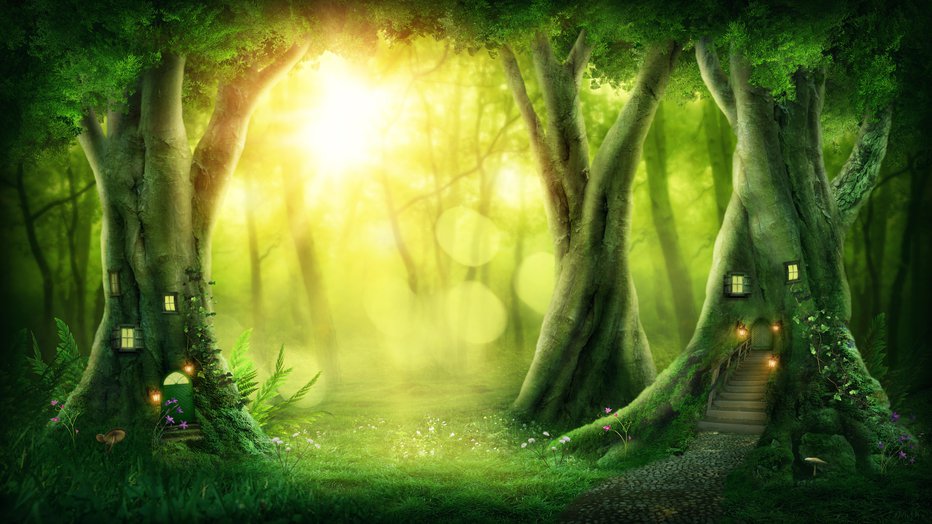 Fotografija: Dark magic forest with sunshine