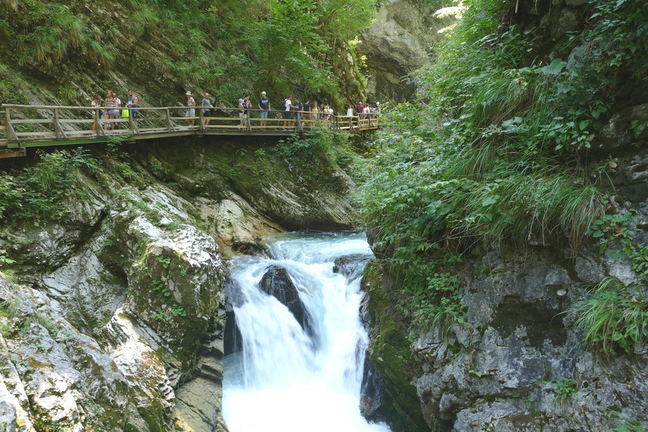 Fotografija: Dolina spada med najlepše alpske v Sloveniji. Fotografiji: Primož Hieng
