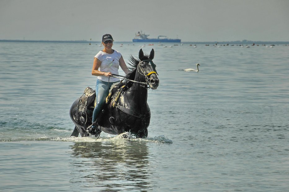 Fotografija: Mateja Potočnik iz Krtine je edina zdržala celotno traso na konjskem sedlu. FOTO: LILI JAZBEC
