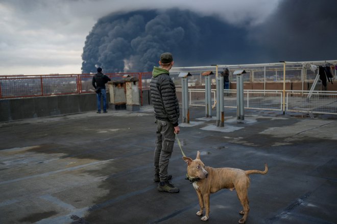 Moški stoji s svojim psom, ko se po napadu ruske vojske v Odesi dviguje dim. FOTO:  Bulent Kilic/AFP
