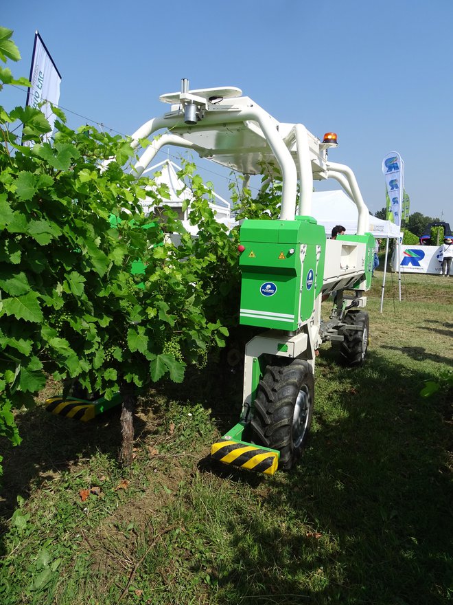 Francoski Naïo Technologies ima v uporabi že več kot 20 tedov – vinogradniških robotov. Gre za jahalno izvedbo, namenjeni pa so obdelavi vrstnega prostora v vinogradu. Vozilo je dolgo 450 cm, široko od 142 do 185 cm, visoko pa 200 cm ± 30 cm. Tehta 1,7 tone. Ima električni pogon, avtonomija pa je do 8 ur v odvisnosti od vrste dela. Hitrost je do 6 km/h, storilnost naj bi bila do 5 ha/dan. Zmore do 30 % nagiba. Za navigacijo ima sistem GPS RTK. Sicer ima Naïo Technologies že več kot 200 kmetijskih robotov (modeli OZ, Dino in TED) v uporabi po vsem svetu.
