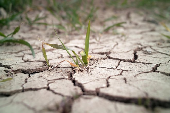 Posledice suše se marsikje že kažejo v obliki širokih in globokih razpok v tleh. FOTO: Zhuda/Getty Images
