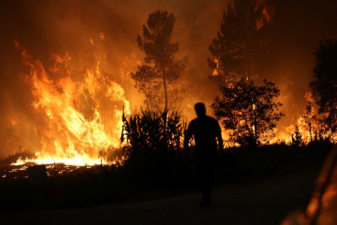 Na Portugalskem je najhuje na severu države. FOTO: Rodrigo Antunes/Reuters
