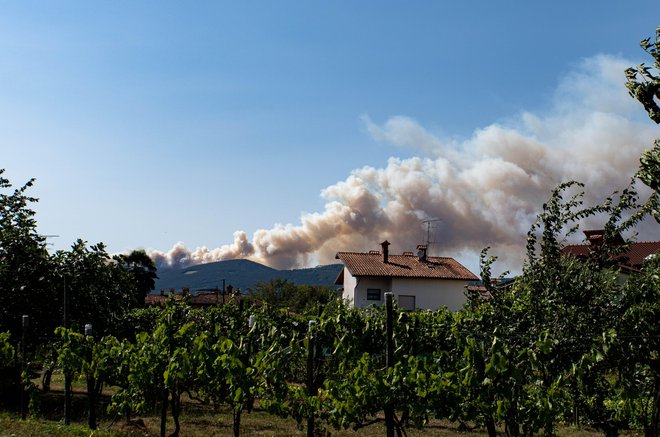 Fotografija požara, ki je izbruhnil na Kras. FOTO: bralka Laura
