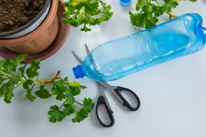 Plastenke so dobrodošli pripomočki za zalivanje rastlin. FOTO: Alikaj2582, Getty Images

