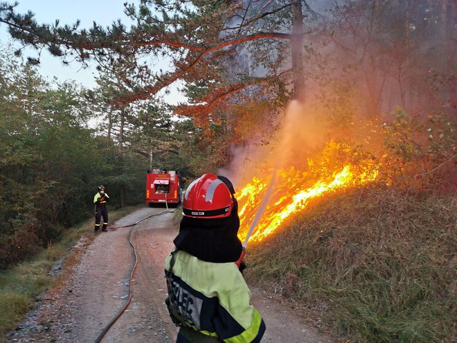 Z ognjenimi zublji se je borilo 425 gasilcev. FOTO: Ervin Čurlič, regijski štab CZ za severno Primorsko
