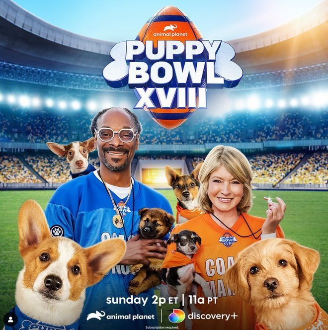 Velika ljubiteljica živali je s Snoop Doggom gostila pasje športno prvenstvo.
