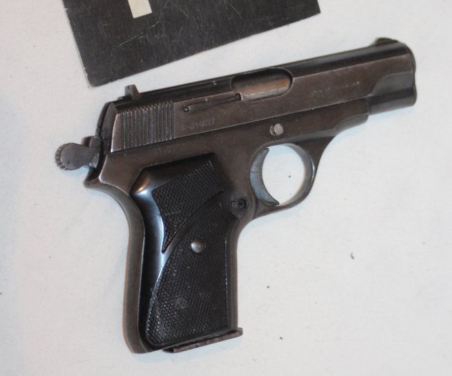 Zasegli so tudi pištolo, za katero osumljenec nima ustreznih dovoljenj. FOTO: PP Metlika
