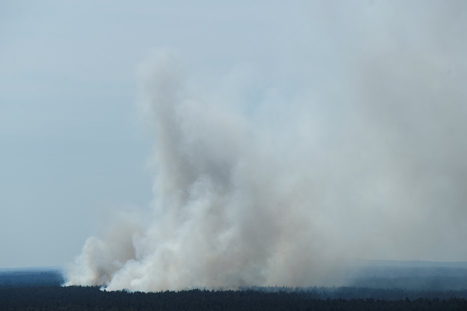 Fotografija: Dim nad gozdom Grunewald. FOTO: Annegret Hilse, Reuters
