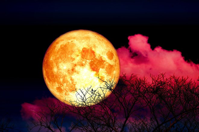 Proučevali bodo tudi dele Lune, ki so ves čas v senci. FOTO: Chayanan/Getty Images
