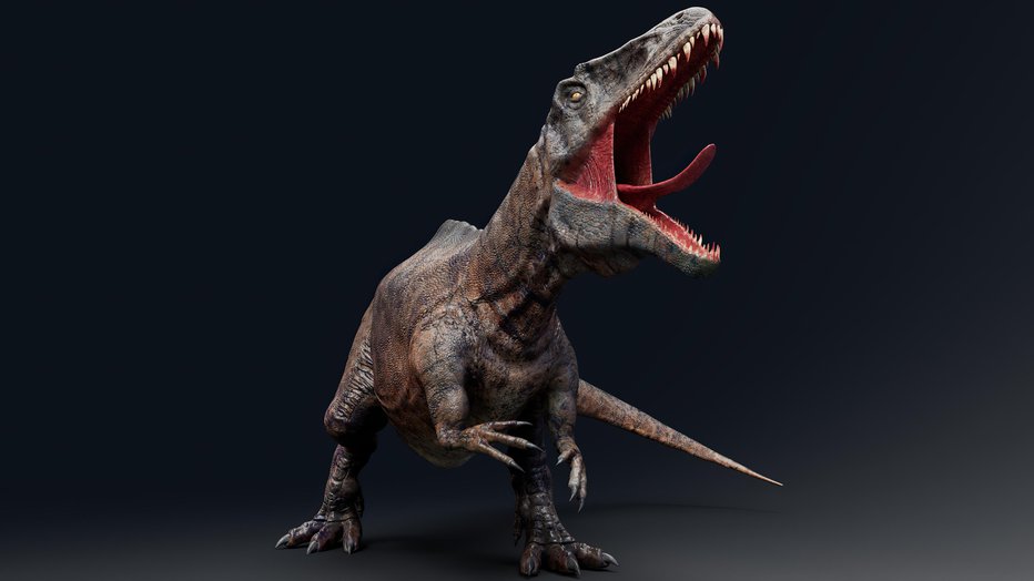 Fotografija: Akrokantozaver je živel pred 105 do 115 milijonov leti. FOTO: Racksuz/Getty Images
