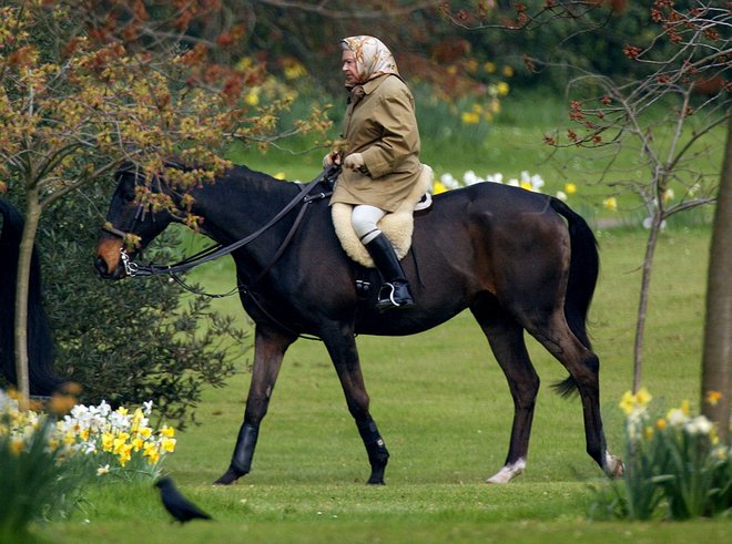 Kraljica je oboževala konje. FOTO: Dan Chung, Reuters
